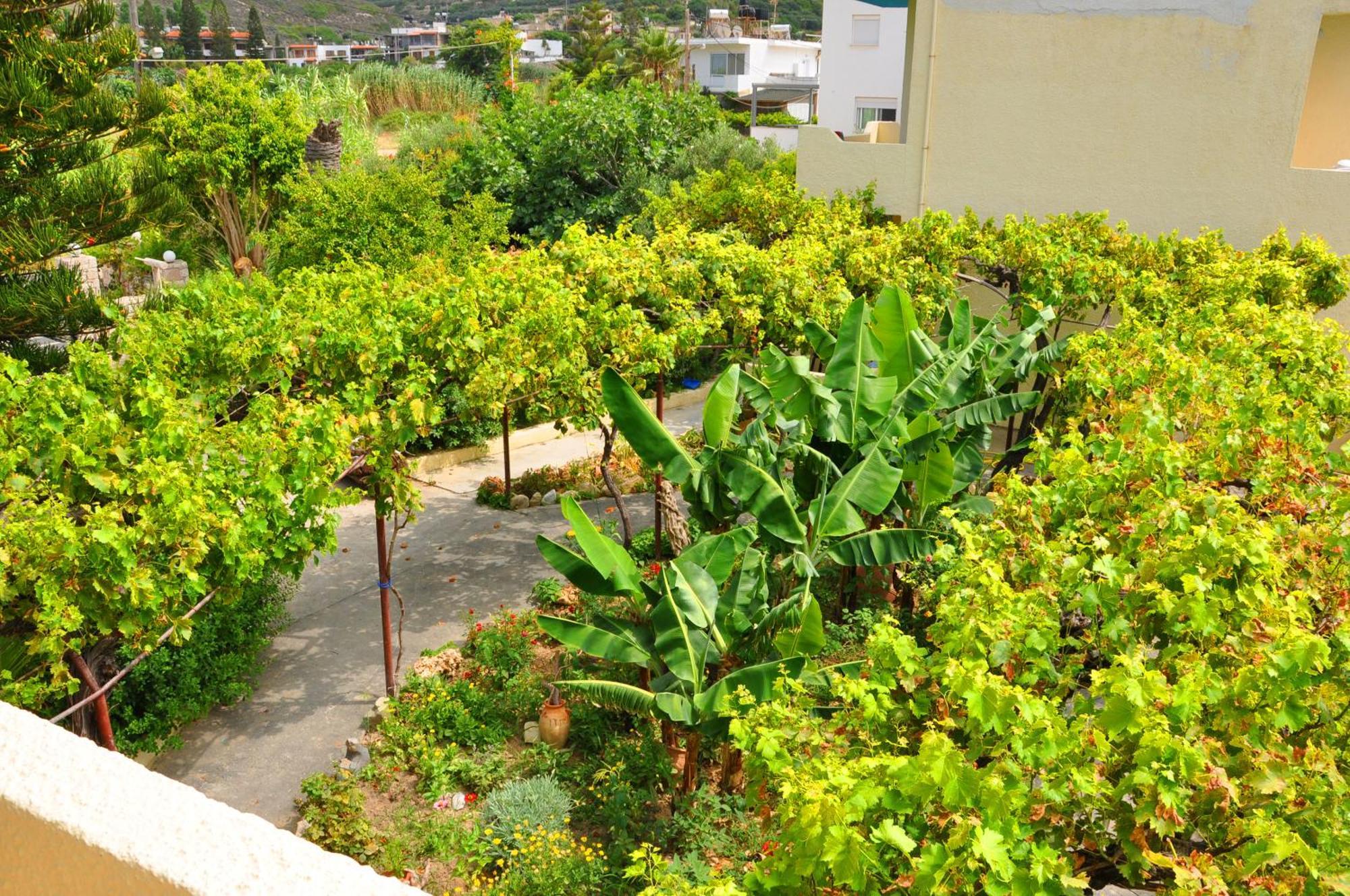 Dimitra Appartement